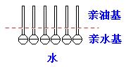 肥皂、洗衣粉和洗衣液三者有哪些區(qū)別？