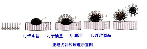 肥皂、洗衣粉和洗衣液三者有哪些區(qū)別？